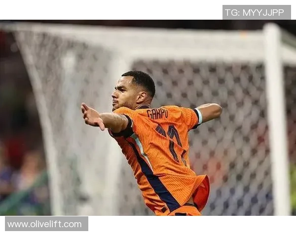 荷兰足球明星岑登的辉煌历程与对足球的热爱之路